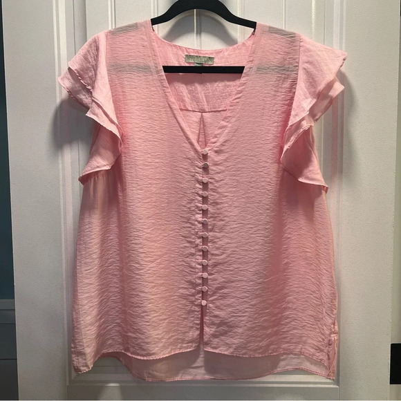 Ryegrass Buckingham Rose Button Front Semi Sheer Ruffle Sleeve Blouse. Size XL. - Picture 2 of 13